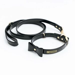 Stylish Black Dog Collar and Leash Set